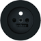 R.CLASSIC Faceplate for earthed socket, glossy black