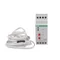 Regolatore di temperatura RT-821