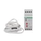 Regolatore di temperatura RT-821