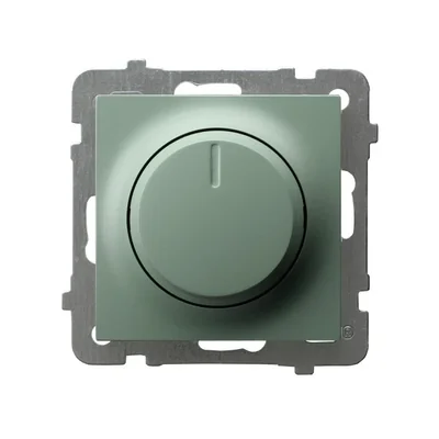 Regulador universal AS para cargas incandescentes y LED, verde mate