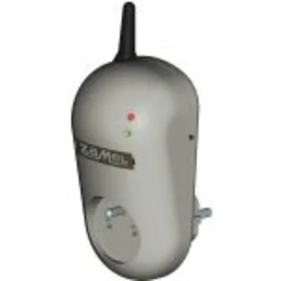 Remote controlled socket TYPE: RWG-01