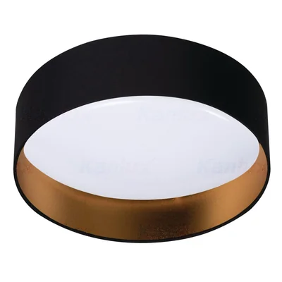 RIFA LED 17.5W NW B/G LED ceiling lamp