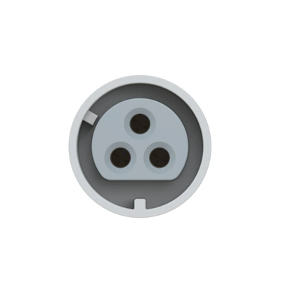 Розетка щитова пряма 32A 2P+Z 24/42V DC 10h IP44/54 (фланець 55X55, відстань отворів 45X45), контакти нікельовані