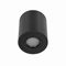 Rullo Nero IP44 Black ceiling lamp