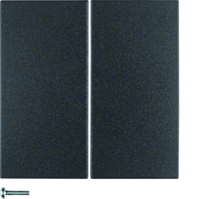 S.1/B.3/B.7 Przycisk 2-krotny antracytowy matowy
