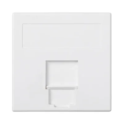 S500 1x RJ board with PANDUIT cover pure white