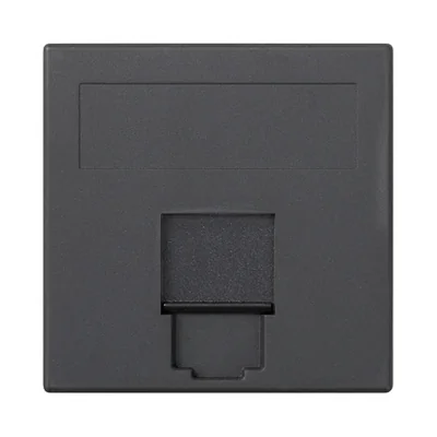 S500 1x RJ-Platine mit Abdeckung BELGENCDT grau graphit