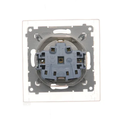 Schuko socket for IP44 version with shutters and frame gasket (module) 230V, gold metallic