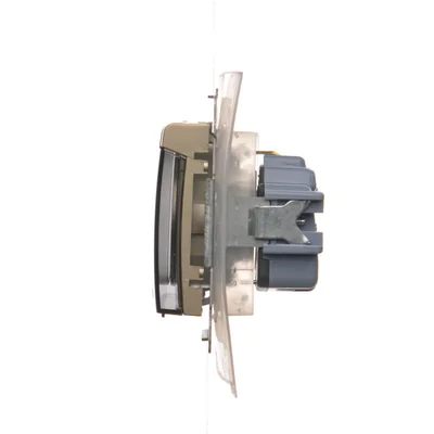 Schuko socket for IP44 version with shutters and frame gasket (module) 230V, gold metallic