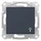 SEDNA Button "light" graphite
