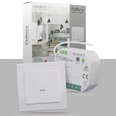 Set programmato FW-R1P-P + FW-WSO2