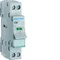 Sezionatore con spia luminosa 2P 16A