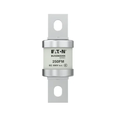 Швидкодіюча вставка 250FM, 250 A, AC 690 V, BS88, 41 x 113 мм, aR, BS