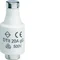 Sicherung DTII/E27 Bi-Wtz 22x50 20A T