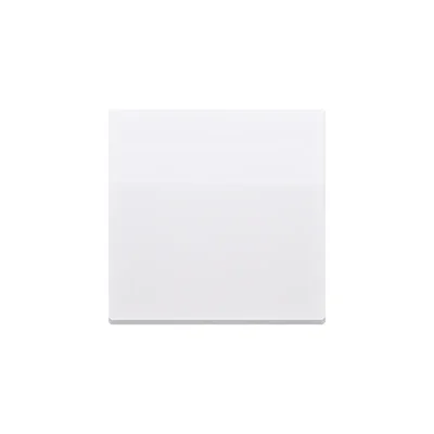 Simon 10 WC-KW1xxxxxxx-11xx Single key for CW1.01/.. CP1.01/.. CW6.01/X/.. CW7.01/X/..; white