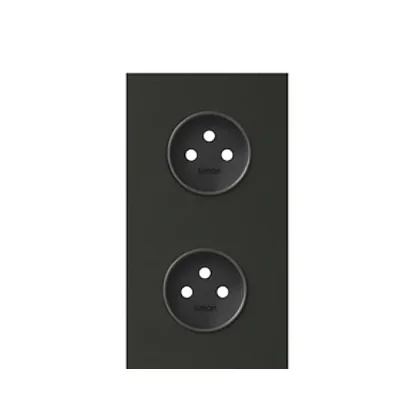Simon 100 W100-10020220x-238 2-канальна панель: 2 розетки; матово-чорна