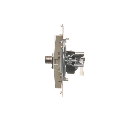 SIMON 54 Antenna socket type "F" + computer RJ45 category 6 gold metallic matt