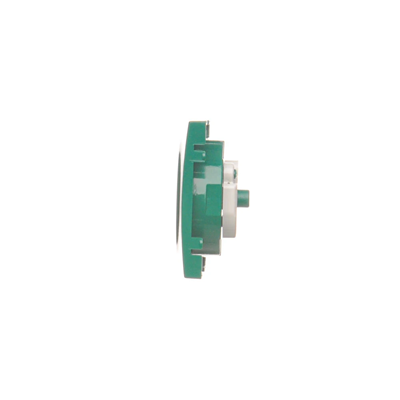 SIMON 54 Cover for a single plug socket with earthing, green