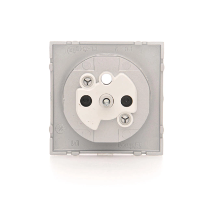 SIMON 54 Cover for a single socket outlet with ground silver mat