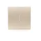 SIMON 54 Keys for mechanisms SW6/2XLM, SW7/2XM, SW6P1M gold matt