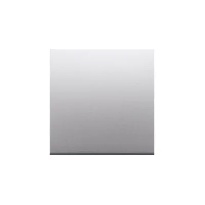 SIMON 54 Single rocker for switches/buttons silver mat