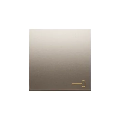 SIMON 54 Single rocker with key pictogram for switches/buttons gold mat