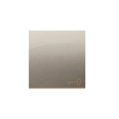SIMON 54 Single rocker with key pictogram for switches/buttons gold mat
