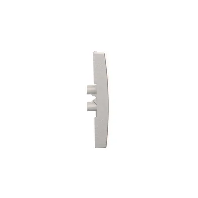 SIMON 54 Single rocker with key pictogram for switches/buttons silver mat
