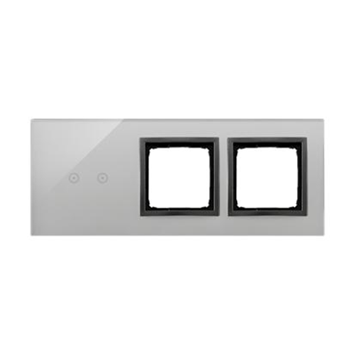 SIMON 54 TOUCH Touch panel 3 modules 2 horizontal touch fields + 2 holes for accessories storm cloud