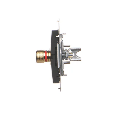 Simon 54 WMDG-010002-049 Einzelne Lautsprecherbuchse (Modul). Ausgangsdrahtquerschnitt bis zu 6 mm²; schwarz