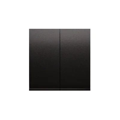 Simon 54 WMDL-K9x2xx-048 Ключі для механізмів: SW6/2XLM, SW7/2XM, SW6P1M; антрацит