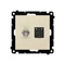 Simon 55 WMDA-12xxxx-144 Conector de antena tipo "F" + RJ45 cat.6 (módulo); Champagne mate