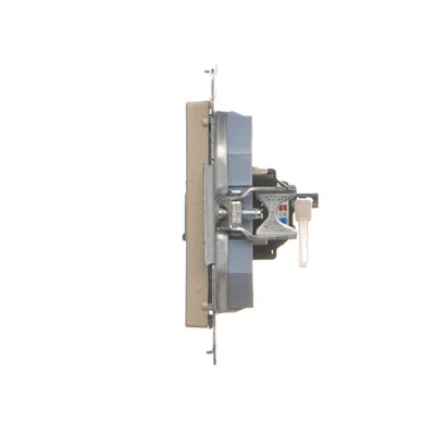 Simon 55 WMDA-P91xx5-144 Single computer socket RJ45 category 6, with anti-dust shutter (module); Champagne matte