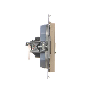 Simon 55 WMDA-P91xx5-144 Single computer socket RJ45 category 6, with anti-dust shutter (module); Champagne matte