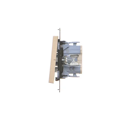Simon 55 WMDL-01031x-144 Bouton-poussoir unique sans pictogramme (module) 10 AX, 250 V~, connecteurs rapides ; Champagne mat