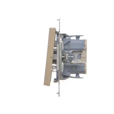 Simon 55 WMDL-0105Lx-144 Staircase switch with LED backlight, backlight as in single switch (module) 10 AX, 250 V~, quick connectors; Champagne matt