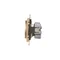 Simon 55 WMDW-0011S2-144 Einzelsteckdose mit Erdung und Abdeckungen (Modul) 16 A, 250 V~, Schnellverbinder; Champagner matt