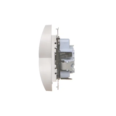 Simon 55 WMDW-00210N-114 Double socket outlet with grounding and shutters (module) 16 A, 250 V~, quick connectors; Matte light gray