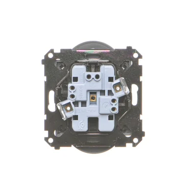 Simon 55 WMDW-00210N-116 Presa doppia con messa a terra e otturatori (modulo) 16 A, 250 V~, connettori rapidi; Grafite opaca