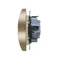 Simon 55 WMDW-00210N-144 Double socket outlet with grounding and shutters (module) 16 A, 250 V~, quick connectors; Champagne matt