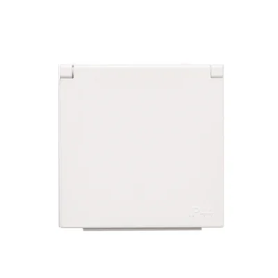Simon 55 WMDW-P0121x-111 Single socket cover with flap in the cover color for: SGZ1CM, SGZ1M; Matte white