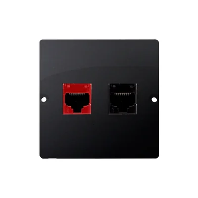 SIMON BASIC Computer socket RJ45 cat.5e + telephone RJ12 matte graphite