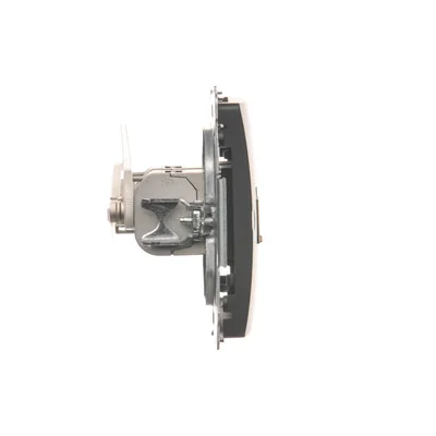 SIMON BASIC Doppelt geschirmte Computersteckdose RJ45 Kategorie 6 mit Staubschutzabdeckung (Modul) graphit matt metallisiert