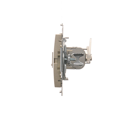 Single computer socket RJ45, category 6, shielded with anti-dust cover (module) gold (metallic)