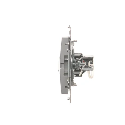 Single computer socket RJ45 category 6 with anti-dust cover (module) silver (metallic)