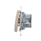 Single NO button with LED backlight without pictogram (module) 16A 250V screw terminals gold (metallic)