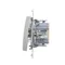 Single-pole switch (module) 10A 250V quick connectors silver (metallic)