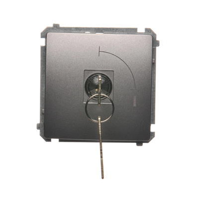 Single-pole switch with key, 2-position metallic stainless steel