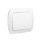 Single-pole white switch 10A 250V