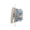 Single push-button without pictogram (module) 10A 250V gold quick connectors (metallic)